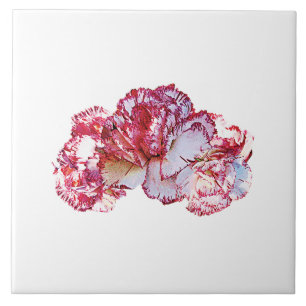 Three Pink-Tipped Carnations Tile