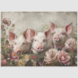 Three Pinky Pigs  Tissue Paper
