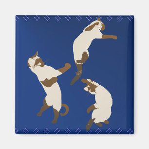 Three Playful Siamese Magnet