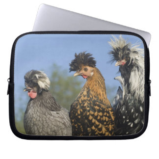 Three Polish Chickens - Laptop Sleeve