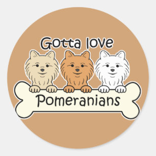 Three Pomeranians Classic Round Sticker
