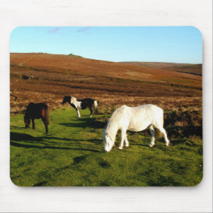 Three ponies on Dartmoor Mouse Mat
