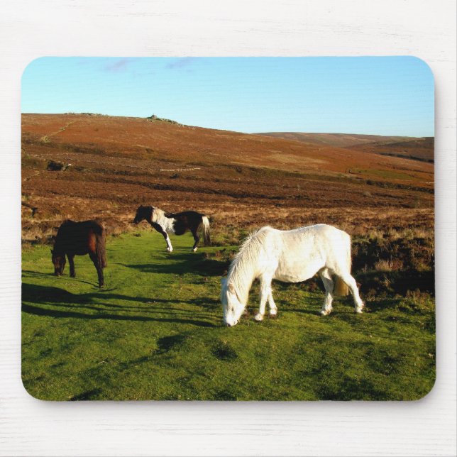 Three ponies on Dartmoor Mouse Mat (Front)