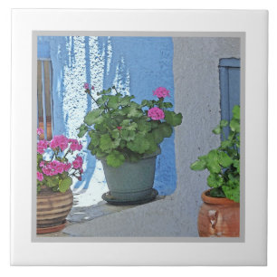 THREE POTTED PINK GERANIUMS/BLUE WALL TILE