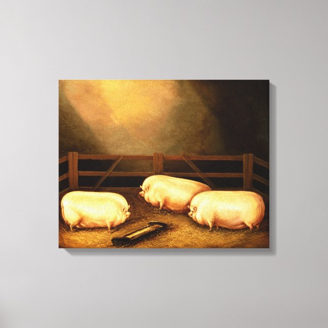 Three Prize Pigs outside a Sty Canvas Print (Front)