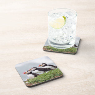 Three Puffins Coaster