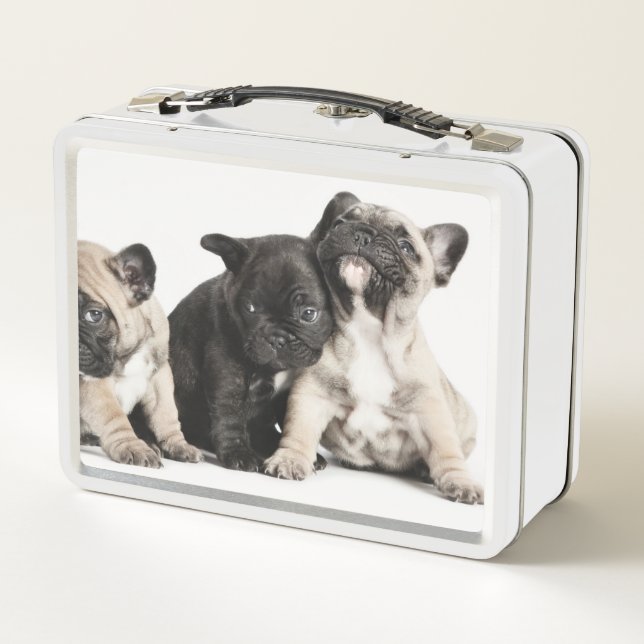 Three Pug Puppies Metal Lunch Box (Back)