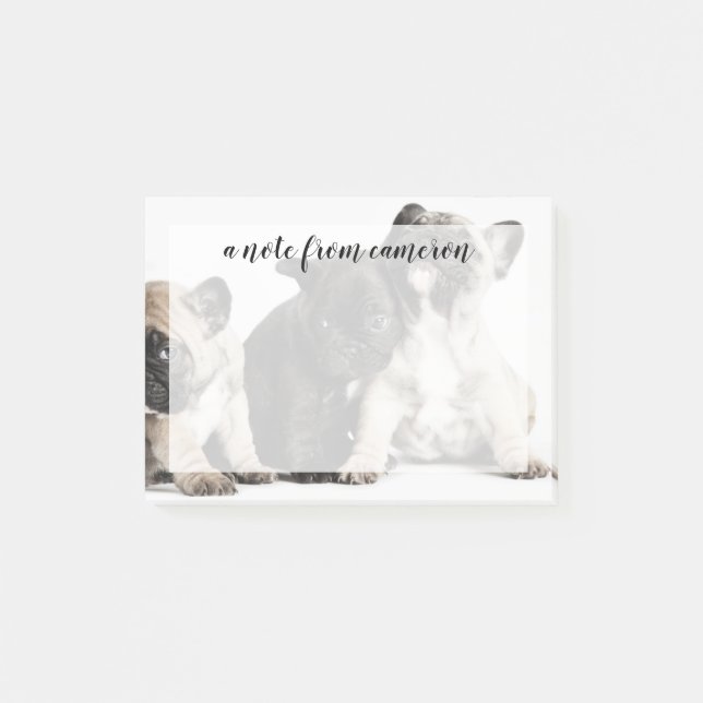 Three Pug Puppies Post-it Notes (Front)