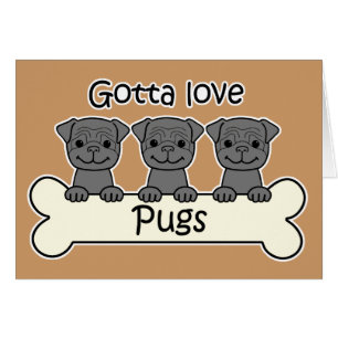 Three Pugs