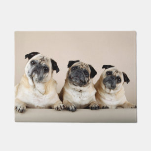 Three Pugs In A Row Doormat
