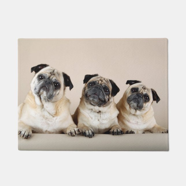 Three Pugs In A Row Doormat (Front)