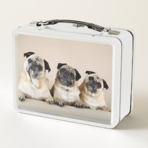 Three Pugs In A Row Metal Lunch Box
