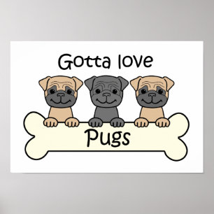 Three Pugs Poster