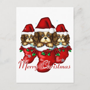 Three Puppies in Stockings Postcard