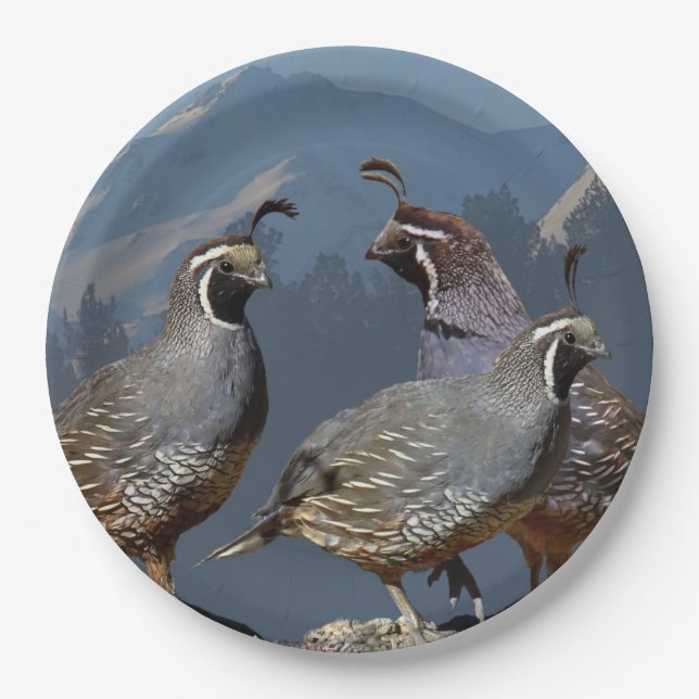 THREE QUAIL AND SHASTA PAPER PLATE (Front)