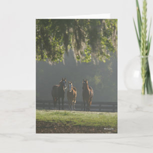 Three Quarter Horses Standing in the Mist Card