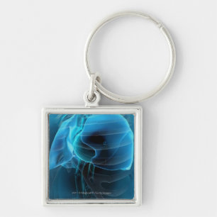 Three quarter view of the heart and lungs key ring