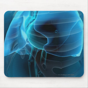 Three quarter view of the heart and lungs mouse mat