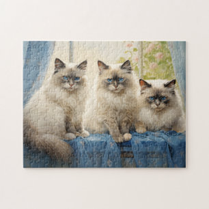 Three Ragdoll cats Jigsaw Puzzle