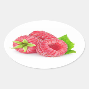 Three raspberries oval sticker