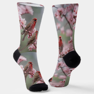 Three Red Finches On Blossom Tree,  Socks