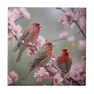 Three Red Finches On Blossom Tree, Tile