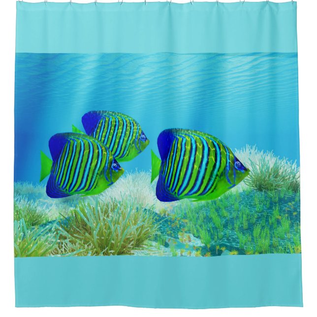 Three Regal Angelfish Shower Curtain (Front)
