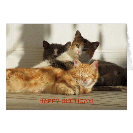 Three Relaxing Cats, Birthday Card