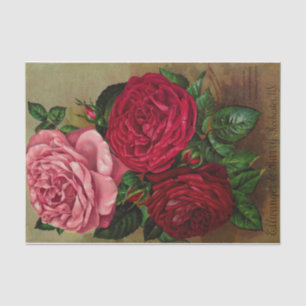 Three Roses Seed Catalogue Tissue Paper