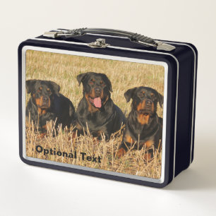 Three Rottweiler Dogs - Pack of Rotties Metal Lunch Box