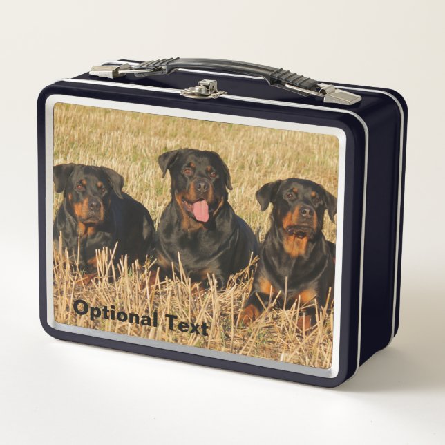 Three Rottweiler Dogs - Pack of Rotties Metal Lunch Box (Front)