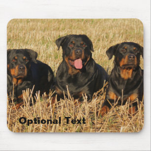 Three Rottweiler Dogs - Pack of Rotties Mouse Mat