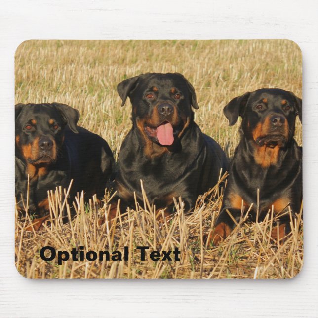 Three Rottweiler Dogs - Pack of Rotties Mouse Mat (Front)