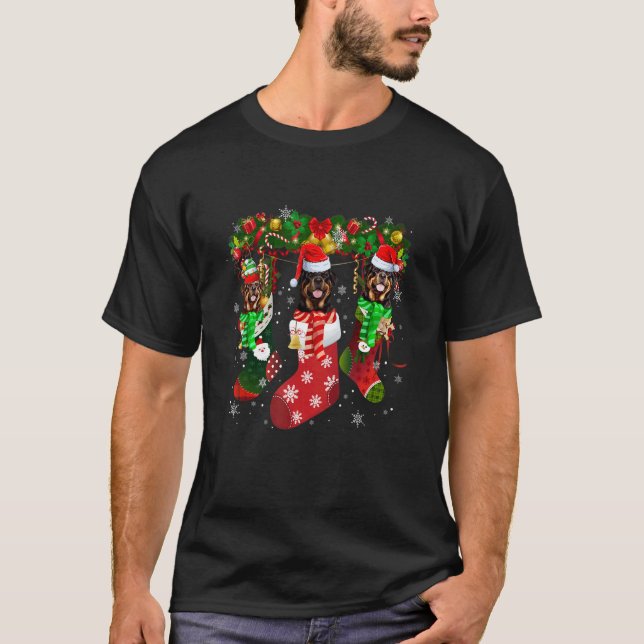 Three Rottweiler In Socks Christmas Santa Hat   T-Shirt (Front)