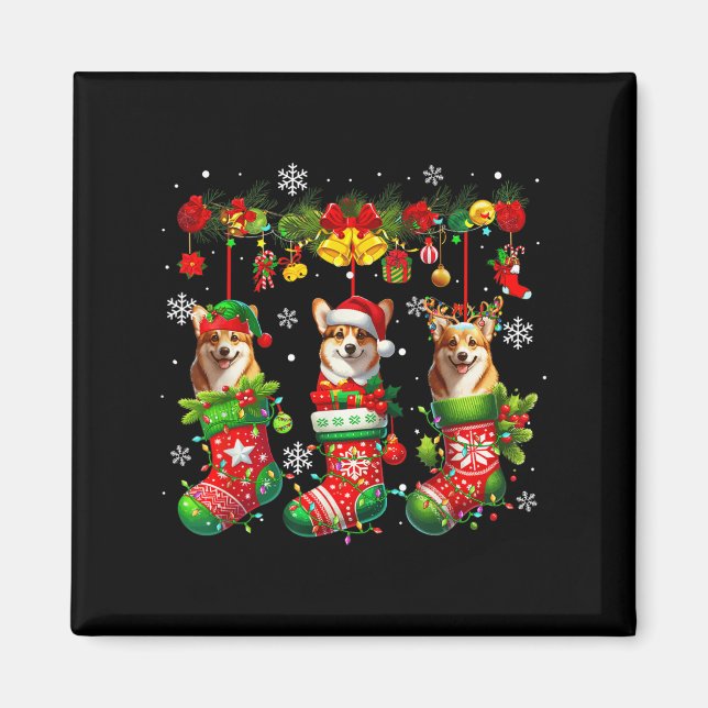 Three Santa Elf Corgis Inside Xmas Socks Owner Kid Magnet (Front)