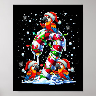 Three Santa Parrots On Candy Cane Christmas Kids T Poster