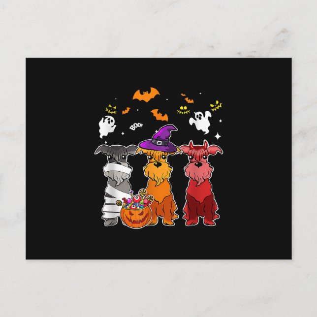 Three Schnauzer Witch Hat Cute Halloween Gifts Postcard (Front)