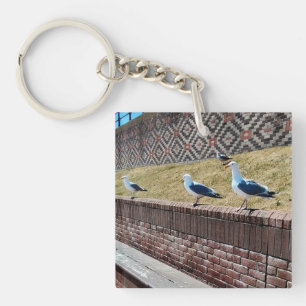 Three seagulls key ring