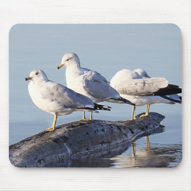 Three Seagulls on a Log Mouse Mat (Front)