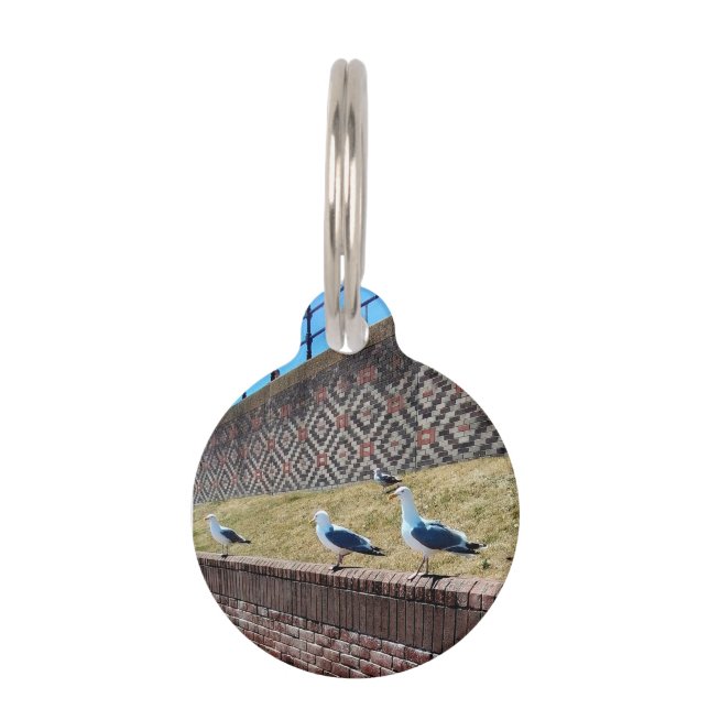 Three seagulls pet tag (Front)