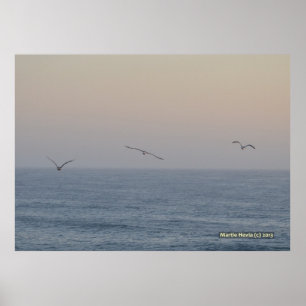 Three Seagulls Poster