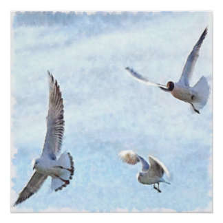 Three Seagulls Watercolor Poster