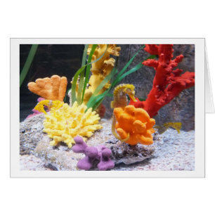 Three seahorses