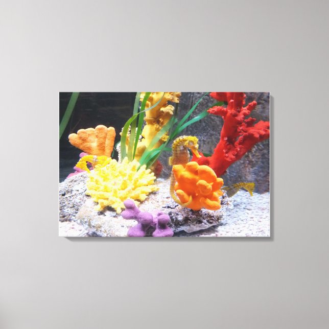 Three seahorses canvas print (Front)