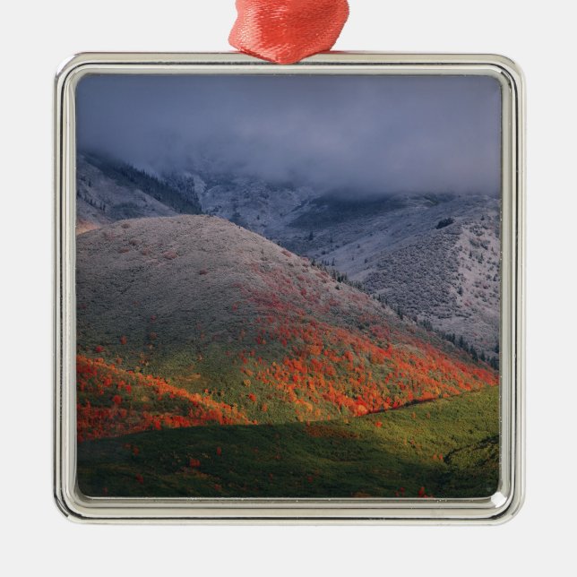Three seasons of foliage, red maples and fall metal tree decoration (Front)