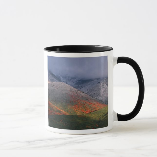 Three seasons of foliage, red maples and fall mug (Right)