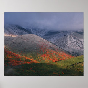 Three seasons of foliage, red maples and fall poster
