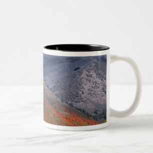 Three seasons of foliage, red maples and fall Two-Tone coffee mug