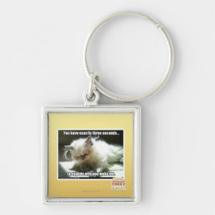 Three seconds key ring