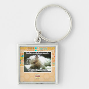 Three seconds key ring